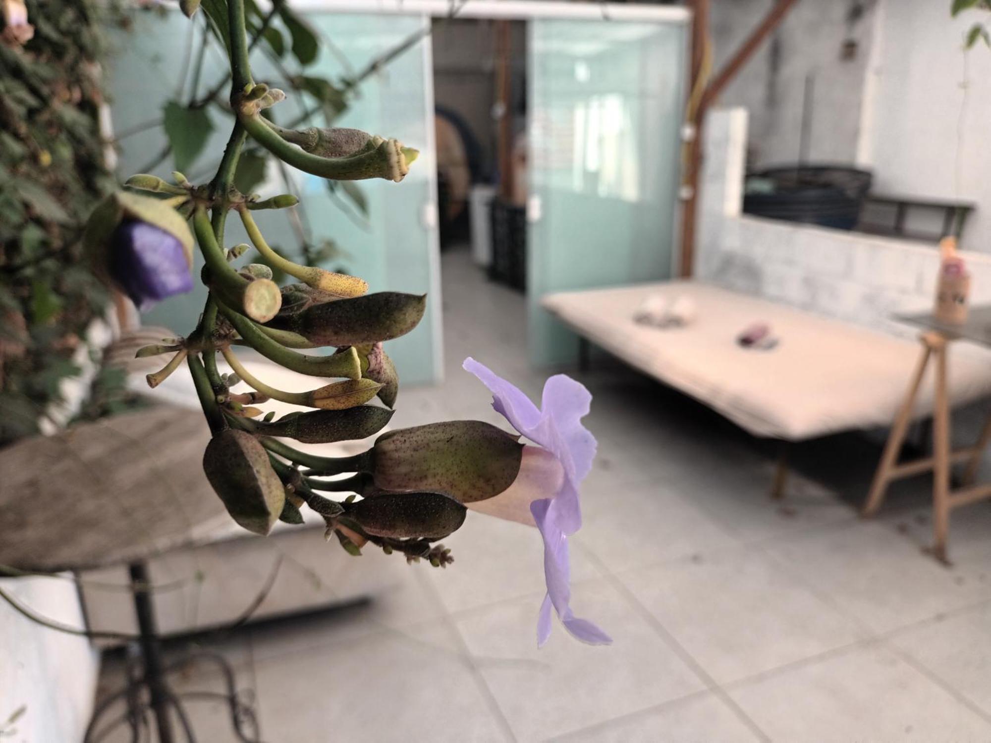 Girassol Hostel Vila Madalena - Sao Paulo — Photos 2